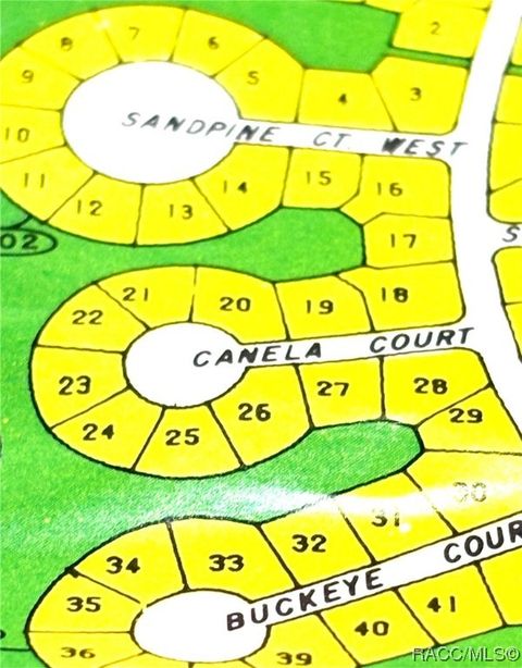 Vacant Land For Sale - 5 Canela Court<br/> Homosassa, FL 34446