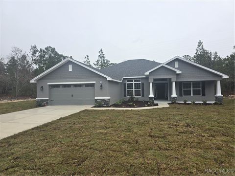 A home in Homosassa