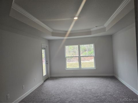 A home in Homosassa