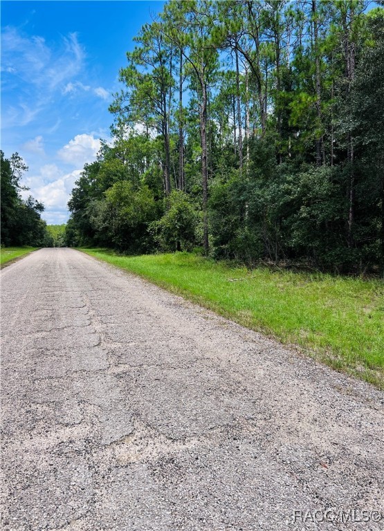 8681 N Wallingford Avenue, Citrus Springs, Florida image 4