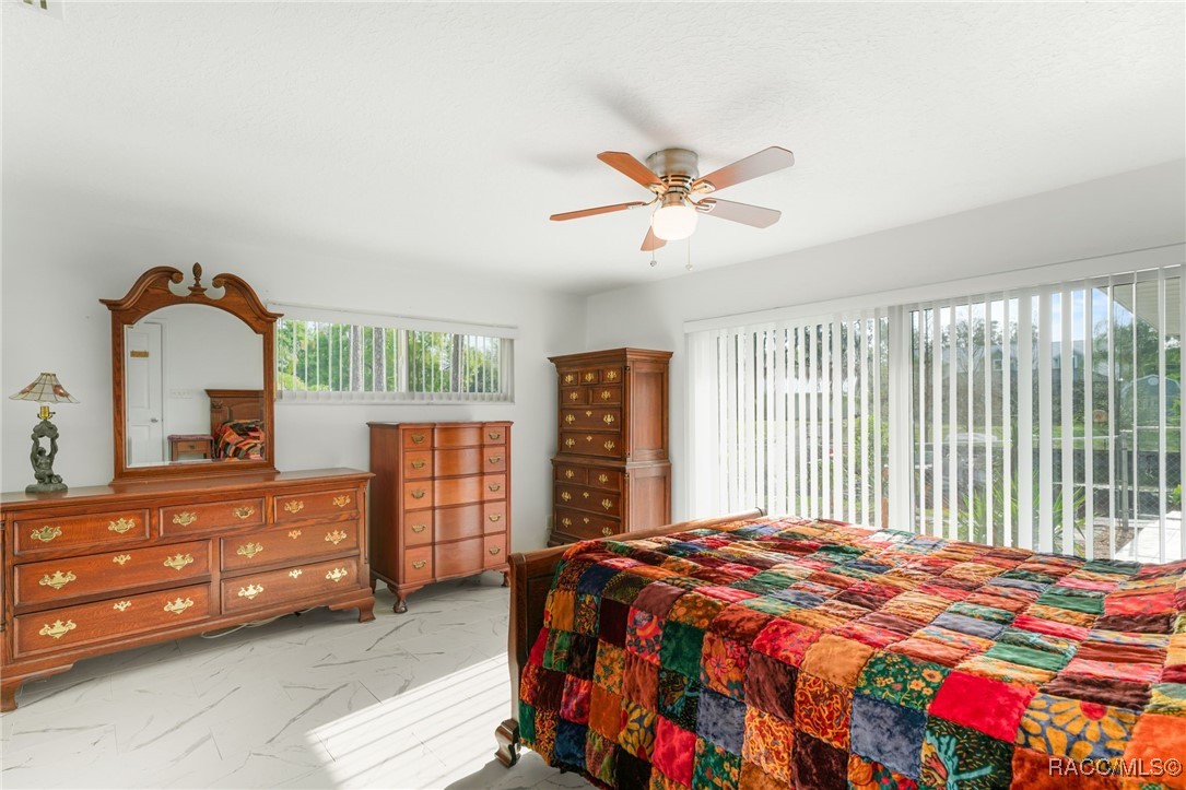 17511 Canal Shores Drive, Odessa, Florida image 19
