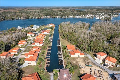 A home in Homosassa