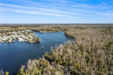 A home in Homosassa