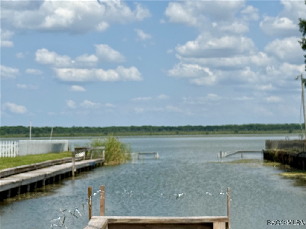 1178 Cr 461, Lake Panasoffkee, Florida image 21