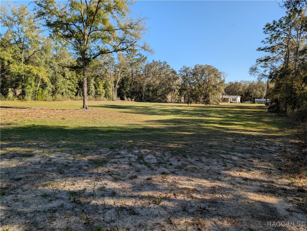 1627 And 1663 E Naperville Lane, Hernando, Florida image 9