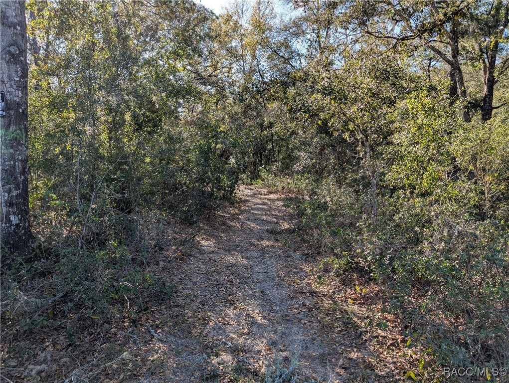 1627 And 1663 E Naperville Lane, Hernando, Florida image 6