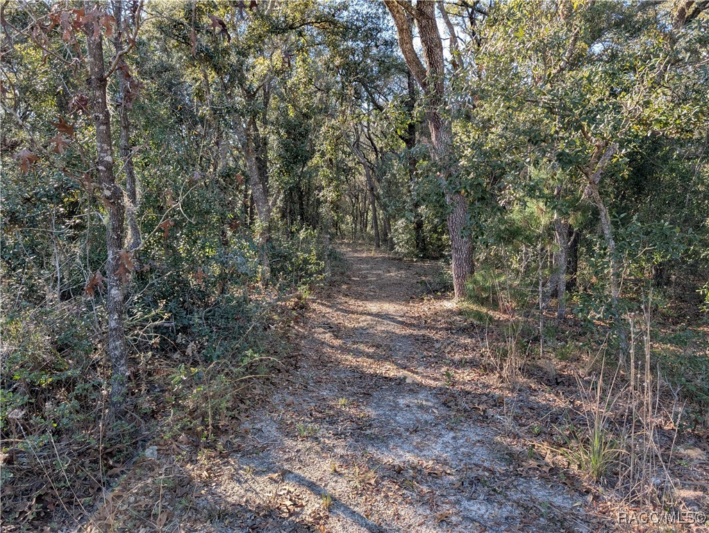 1627 And 1663 E Naperville Lane, Hernando, Florida image 8
