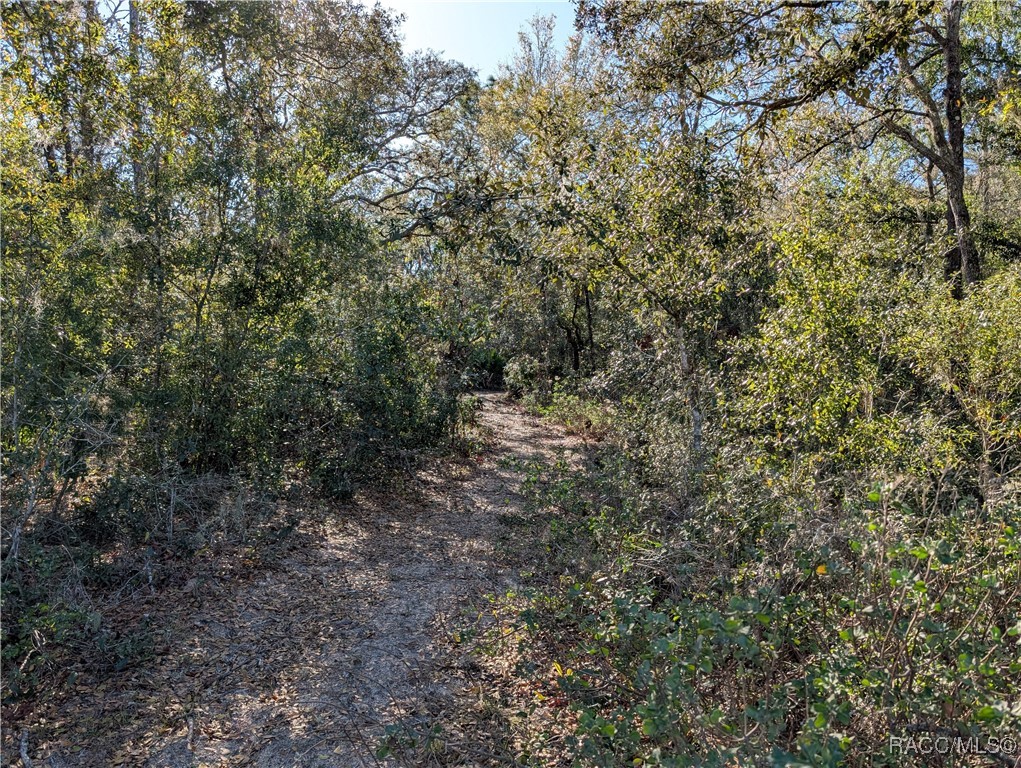 1627 And 1663 E Naperville Lane, Hernando, Florida image 7