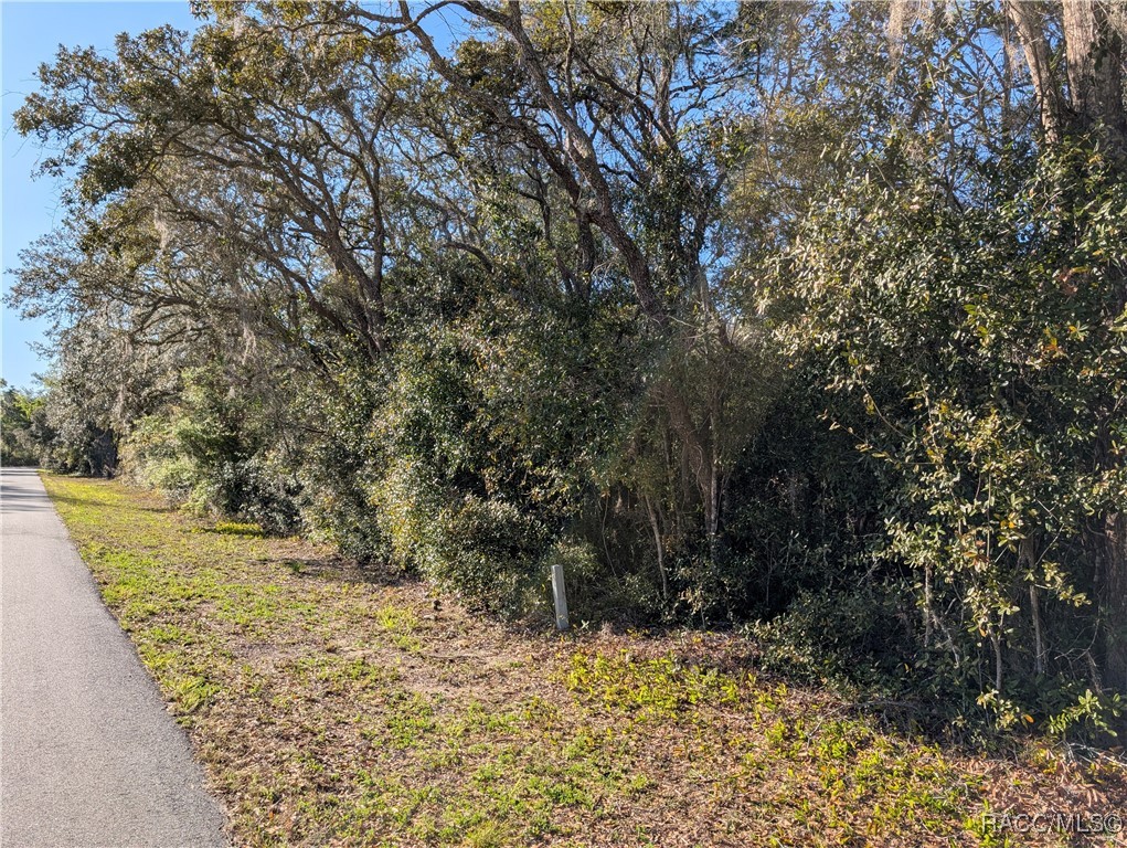 1627 And 1663 E Naperville Lane, Hernando, Florida image 5