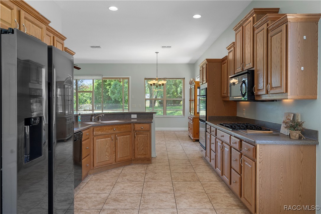 1918 W Crystal Mae Path, Lecanto, Florida image 23