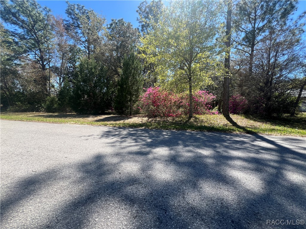 12 Mangrove Court, Homosassa, Florida image 4