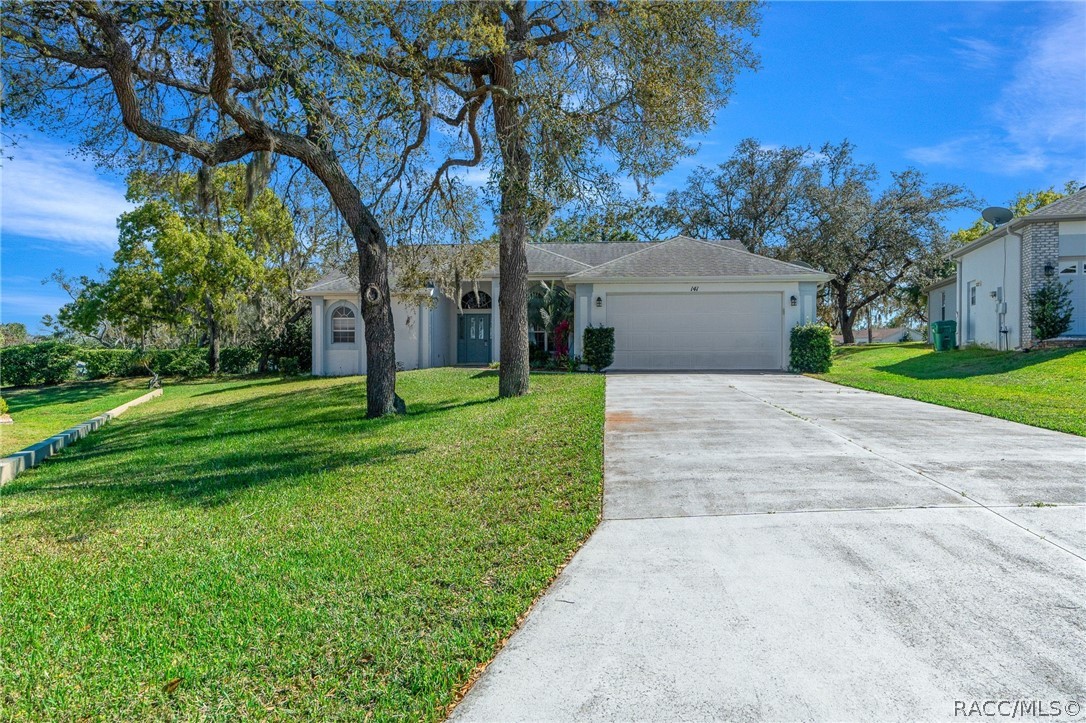 141 N Bluestem Point, Lecanto, Florida image 1