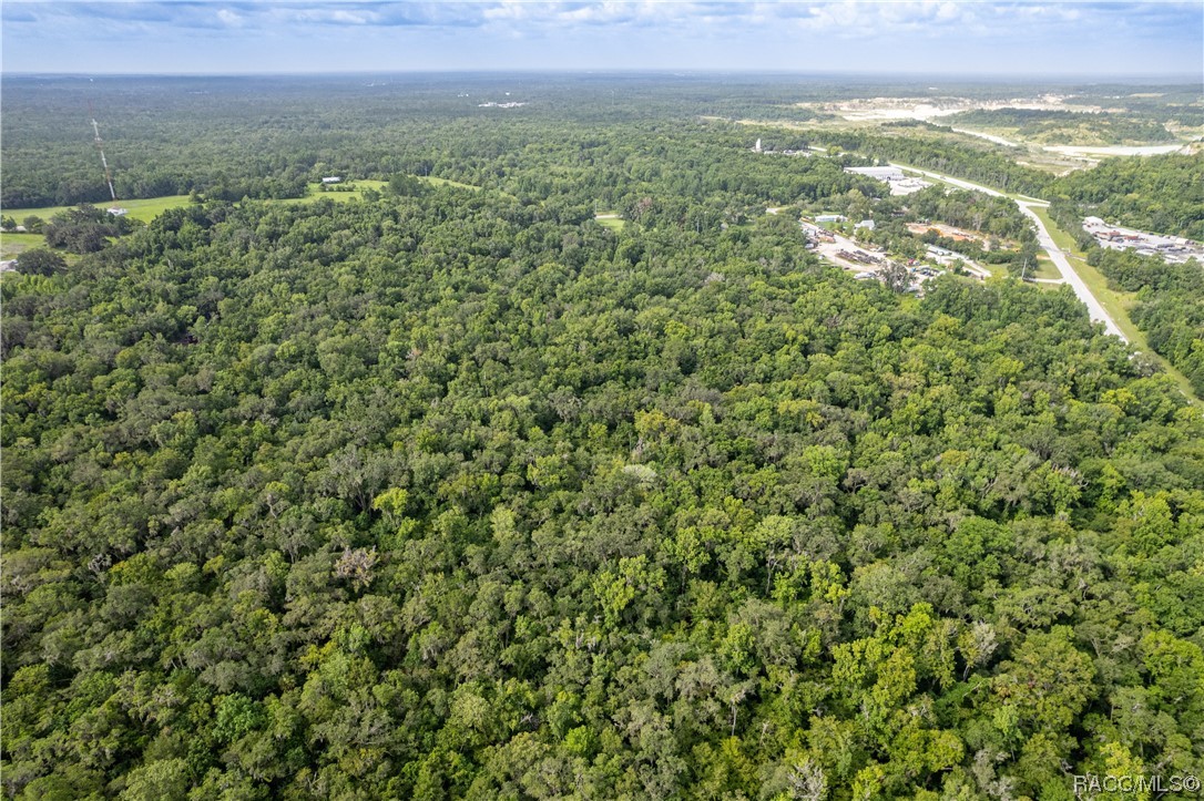 19123 Yontz Road, Brooksville, Florida image 41