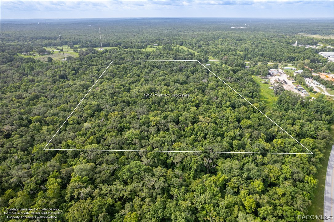 19123 Yontz Road, Brooksville, Florida image 4