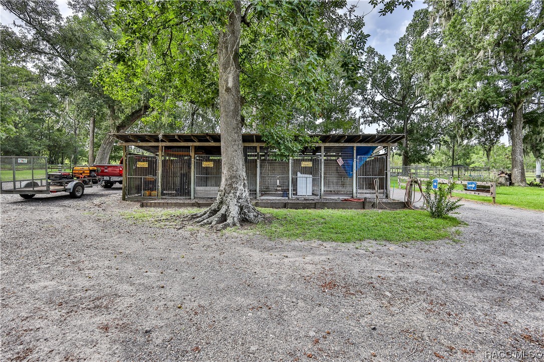 19123 Yontz Road, Brooksville, Florida image 20