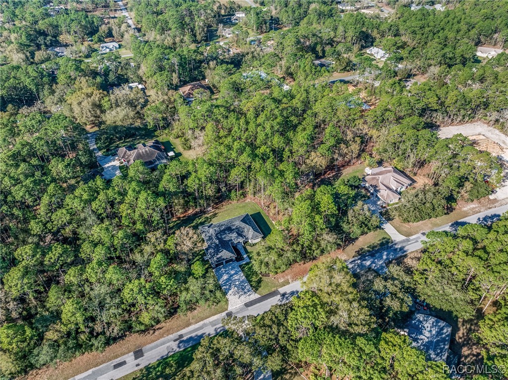 5566 N Princewood Drive, Beverly Hills, Florida image 45