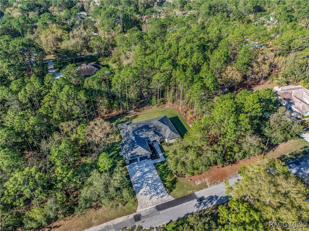 5566 N Princewood Drive, Beverly Hills, Florida image 42
