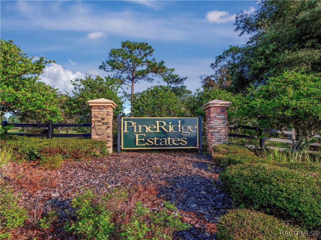 5566 N Princewood Drive, Beverly Hills, Florida image 46