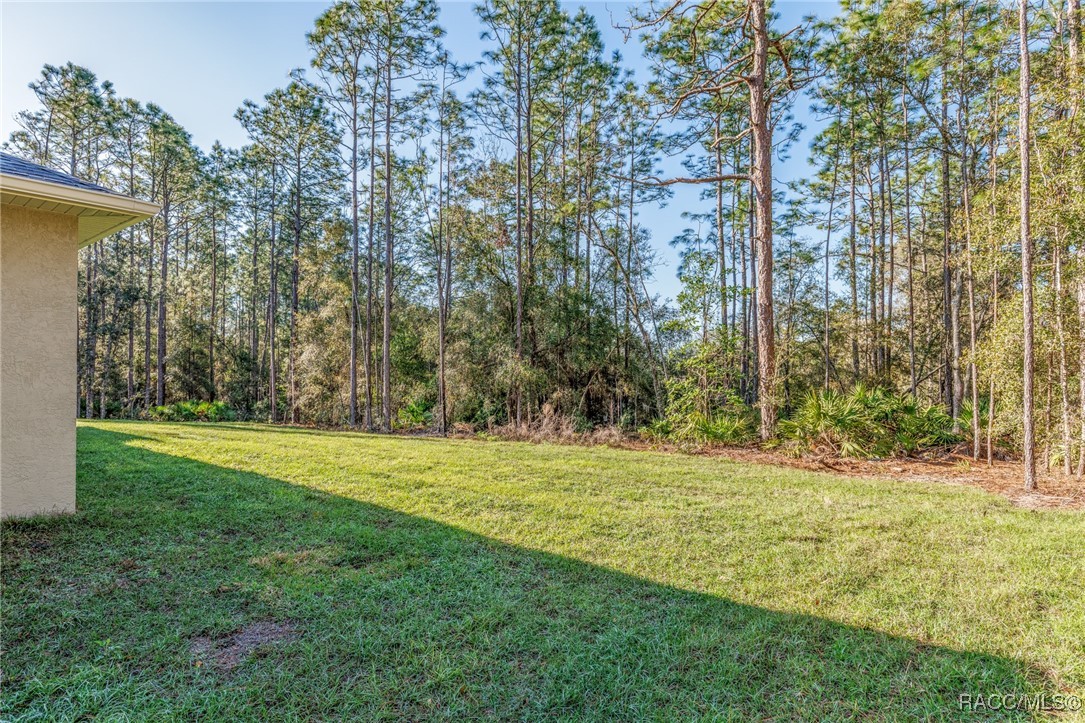 5566 N Princewood Drive, Beverly Hills, Florida image 34