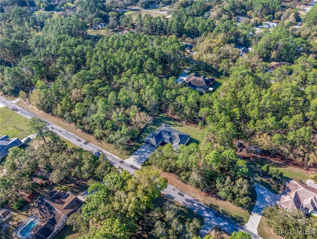 5566 N Princewood Drive, Beverly Hills, Florida image 43