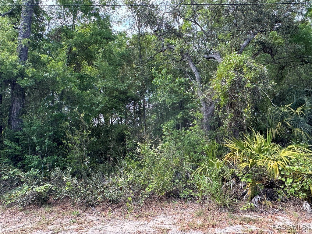 6640 W Yates Place, Crystal River, New York image 1