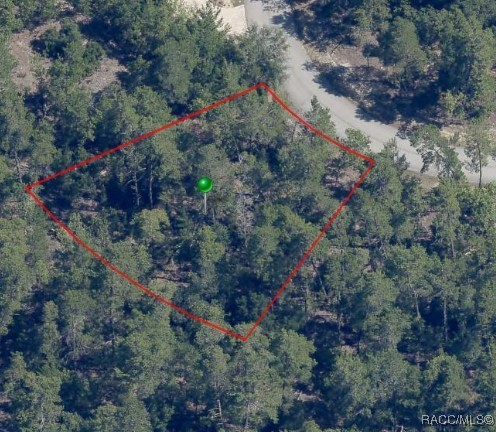 35 Tall Marigolds Court #1FL, Homosassa, New York image 1
