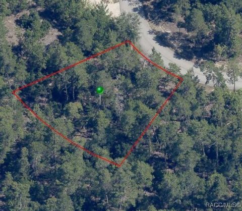 35 Tall Marigolds Court Homosassa FL 34446