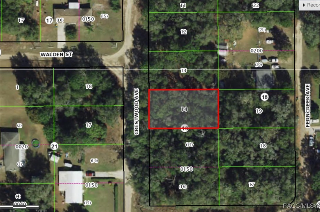 816 Crestwood Avenue, Inverness, Florida image 5
