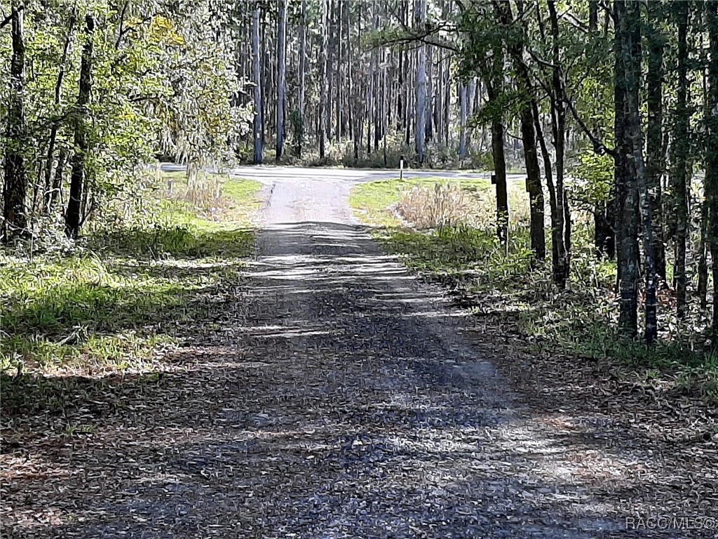 525 E Stage Coach Trail