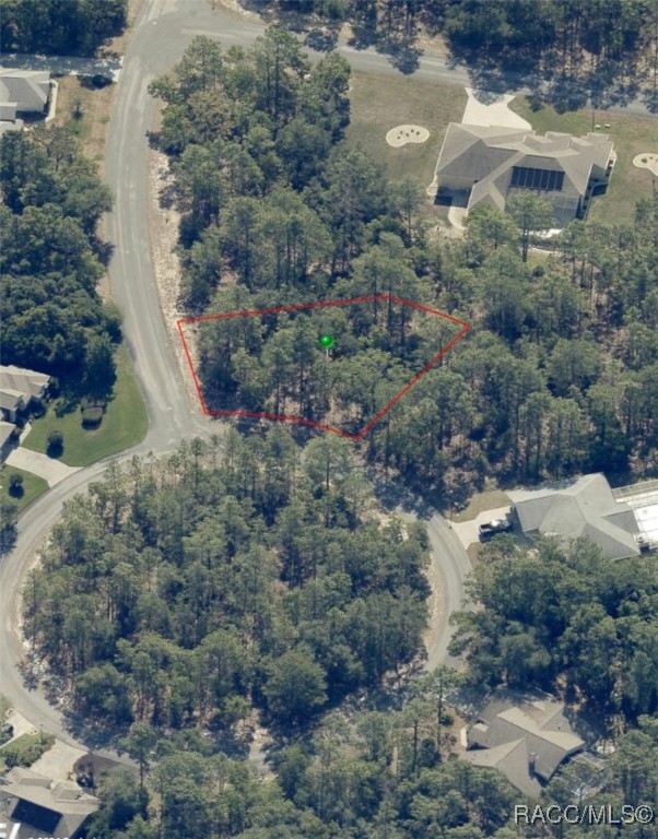 7 Drypetes Court, Homosassa, Florida image 2