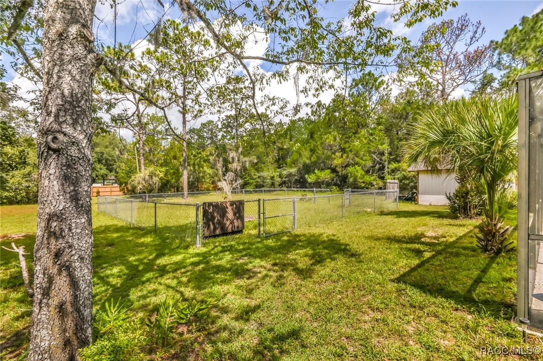 12070 S Fern Point, Floral City, Florida image 12