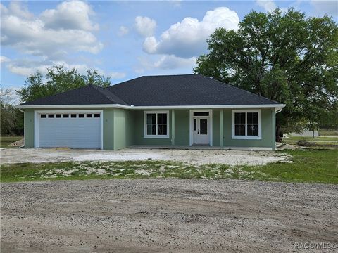 8005 N Terrel Point Citrus Springs FL 34434