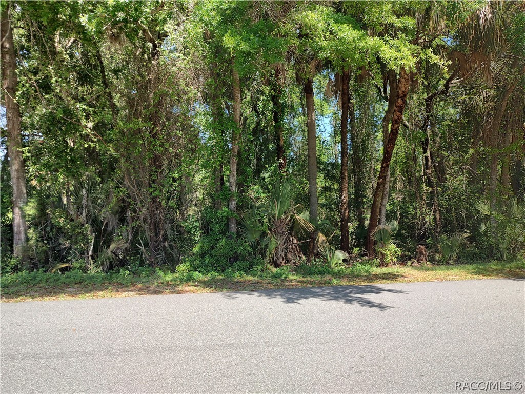 79 NE 7th Avenue, Crystal River, Florida image 2