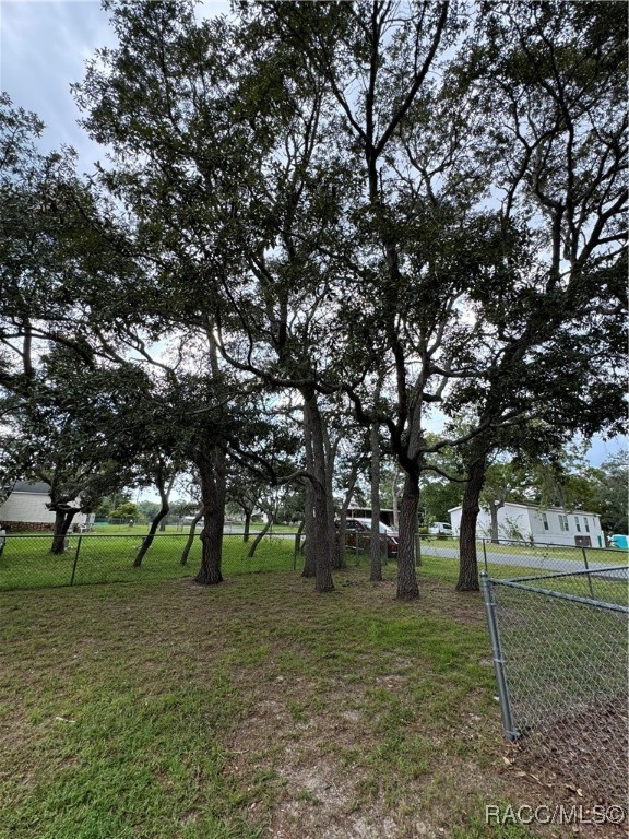 250 S Caraway Point, Lecanto, Florida image 15