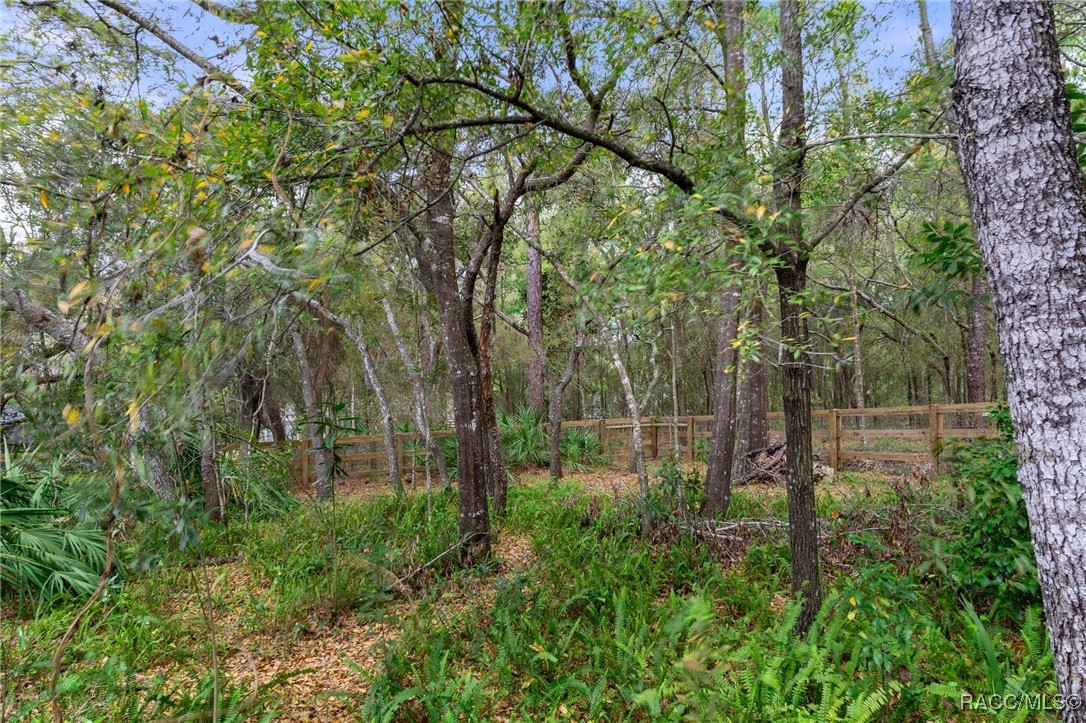2061 E Celina Street, Inverness, Florida image 41
