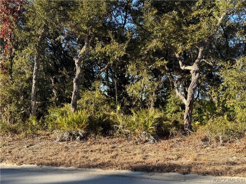 Vacant Land For Sale - 7023 W Merrivale Lane<br/> Homosassa, FL 34446
