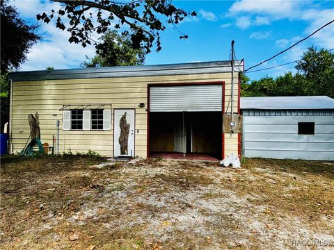10581 E Buck Lane Floral City FL 34436