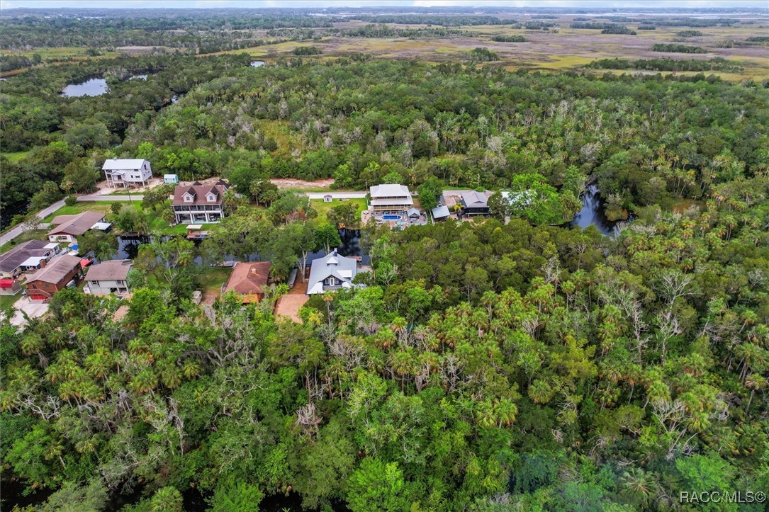 4428 S Cox Point, Homosassa, New York image 39