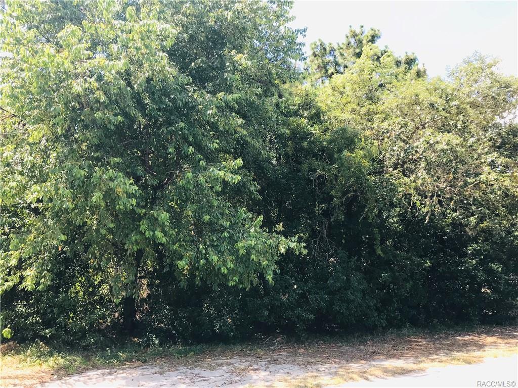 17 Cypress Boulevard, Homosassa, Florida image 2