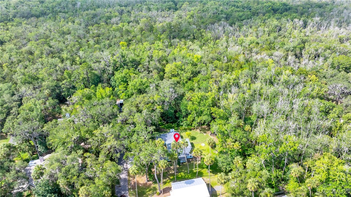 4330 S Conwell Point, Homosassa, New York image 43