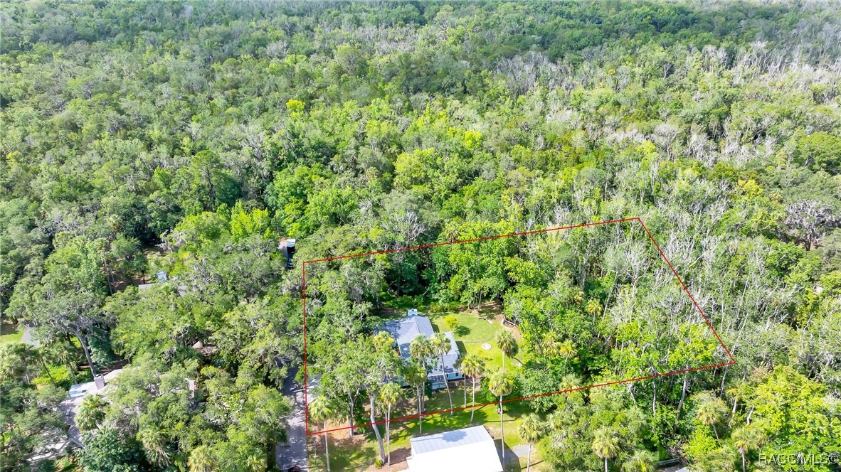 4330 S Conwell Point, Homosassa, New York image 42