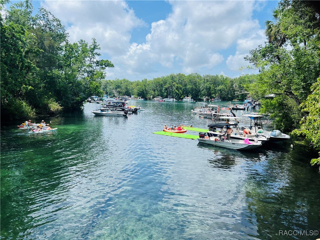 4330 S Conwell Point, Homosassa, New York image 48
