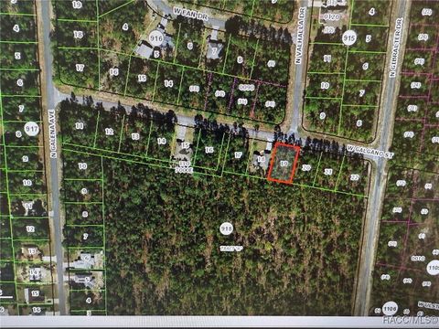 Vacant Land For Sale - 1174 W Galgano Street<br/> Dunnellon, FL 34434