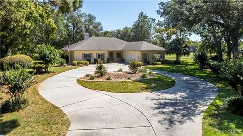 3365 N Bent Tree Point Lecanto FL 34461
