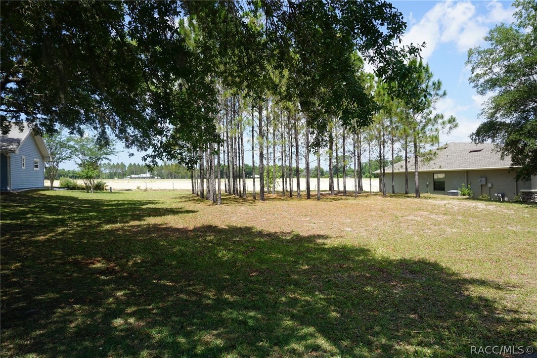 2342 N Brentwood Circle, Lecanto, Florida image 8