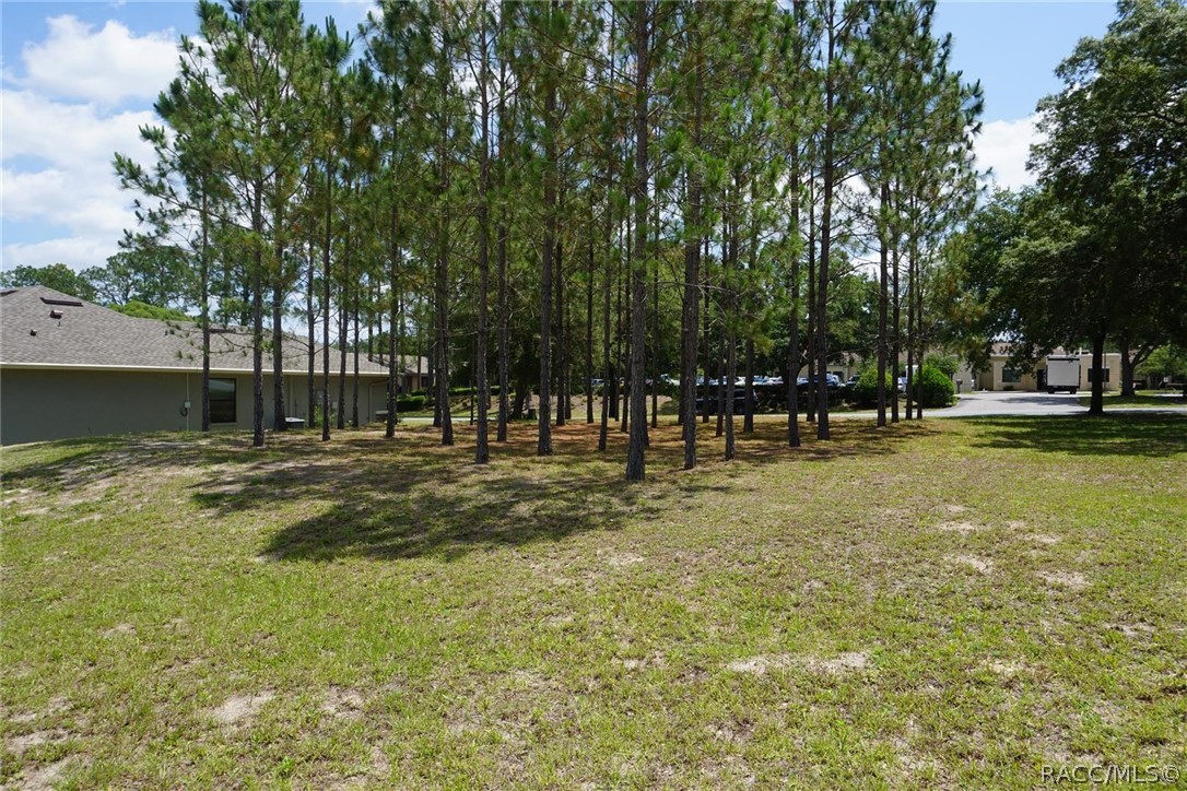 2342 N Brentwood Circle, Lecanto, Florida image 10