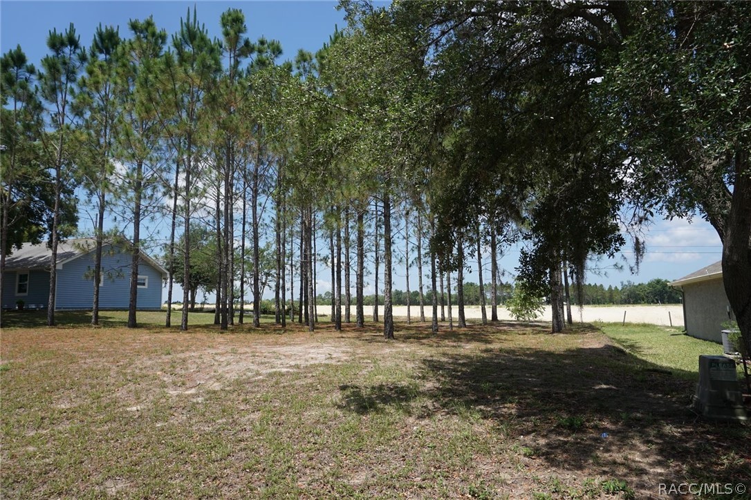 2342 N Brentwood Circle, Lecanto, Florida image 9