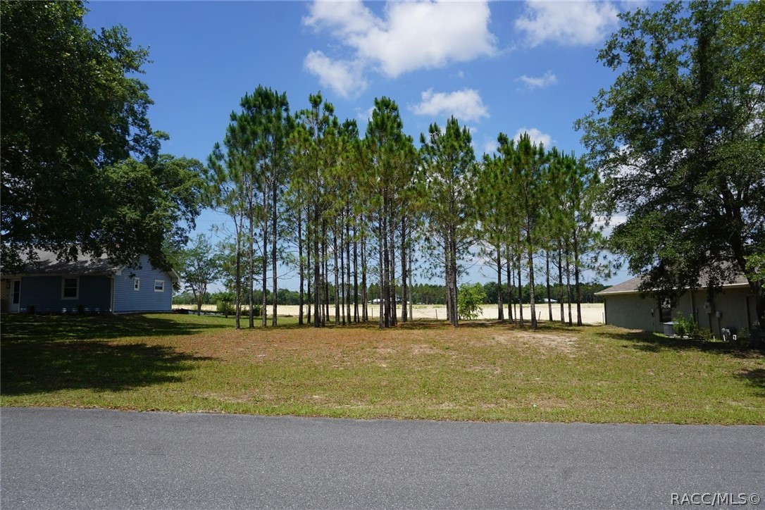 2342 N Brentwood Circle, Lecanto, Florida image 7