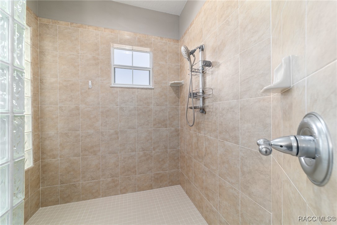23 W Mickey Mantle Path, Hernando, Florida image 38