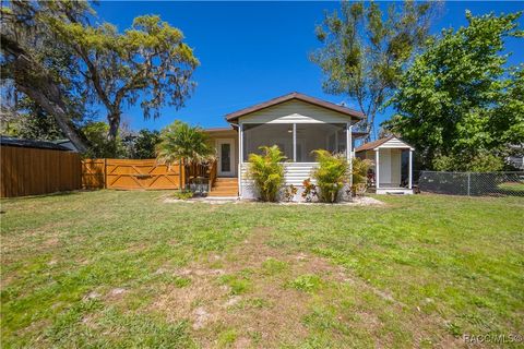 10530 E Gobbler Drive Floral City FL 34436